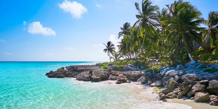 Tropische Küstenlandschaft mit Palmen, felsigem Ufer und feinem Sandstrand, an dem klares, türkisfarbenes Meer sanft anlandet, unter blauem Himmel mit einzelnen Wolken.