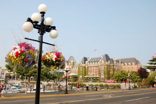 Straße in Vancouver Island