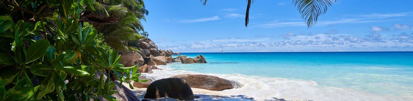 Abbildung