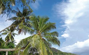 Berjaya Praslin Resort