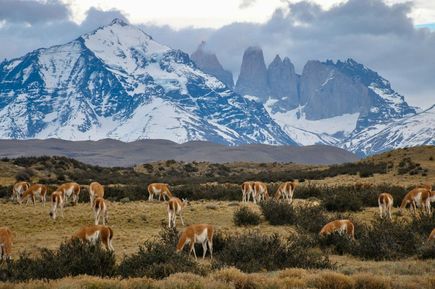 Landschaft mit Berg im Nationalpark Torres del Paine im Süden von Chile - im südlichen Patagonien