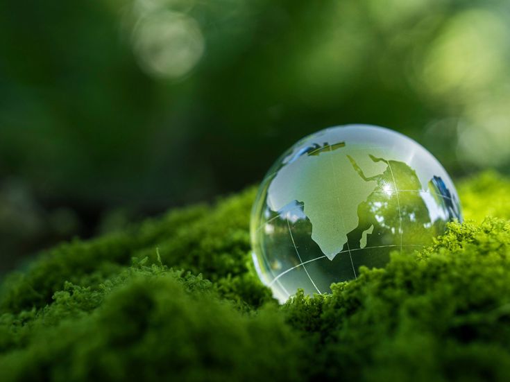 Glaskugel mit Weltkarte liegt auf grünem Moos – Sinnbild für Umweltschutz, Nachhaltigkeit und globale Verantwortung.
