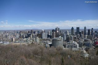 Luftblick auf Stadt in Ostkanada