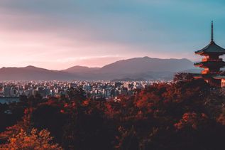 Blick auf Kyoto mit Bäumen und Tempel