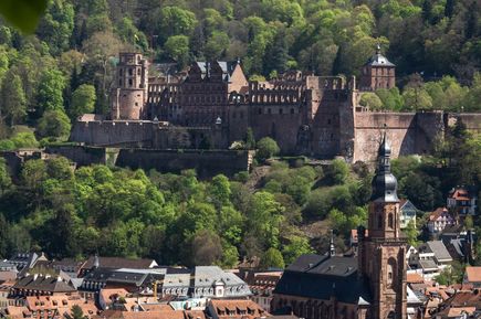 Schloss Heidelberg