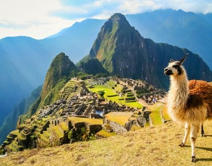 Peru Berg Anden Tier