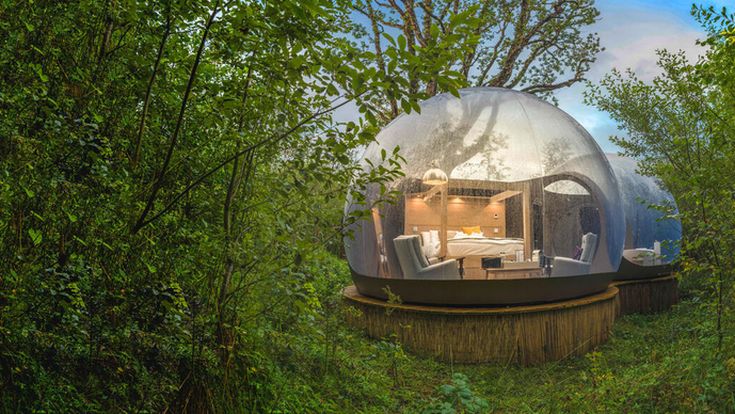 Transparente Glaskuppel mitten im Wald mit gemütlichem Bett und Blick in die Natur.
