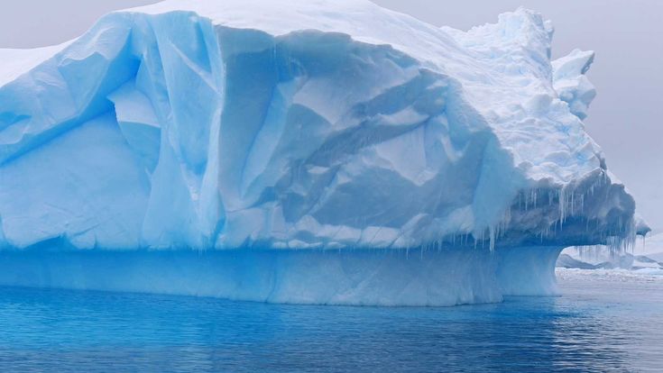 Cierva Cove: Eisblock im Meer, Antarktis