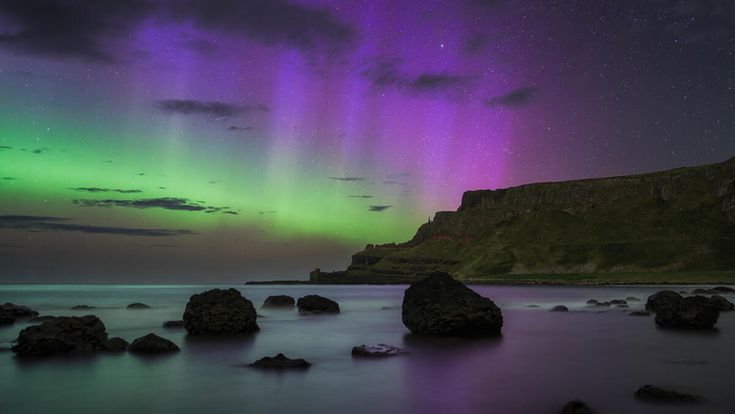 Polarlichter in grünen und violetten Farben leuchten über einer felsigen Küste bei Nacht.