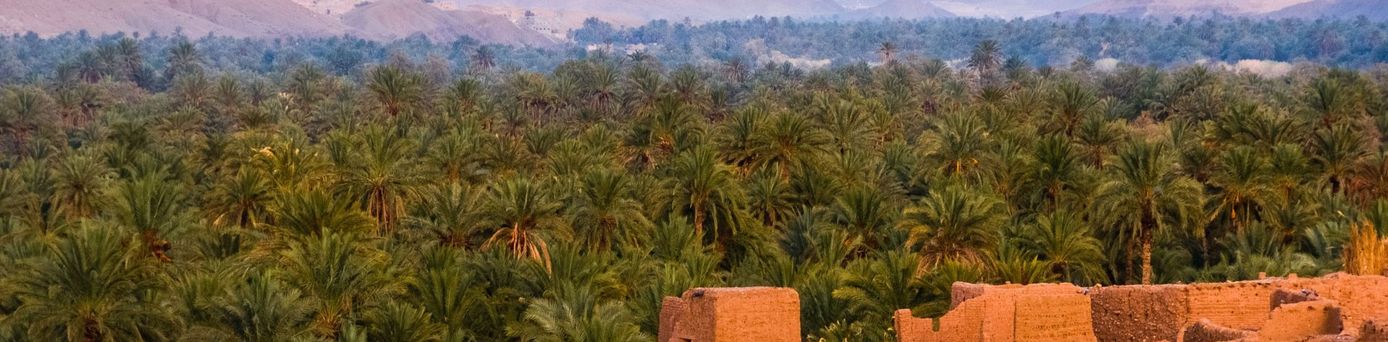 Marokko rote Häuser vor der Hintergrund von Palmen und Gebirgskulisse