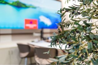 Pflanzendetail im Vordergrund eines modernen Beratungsplatzes mit großem Bildschirm und Urlaubsbild im Hintergrund.