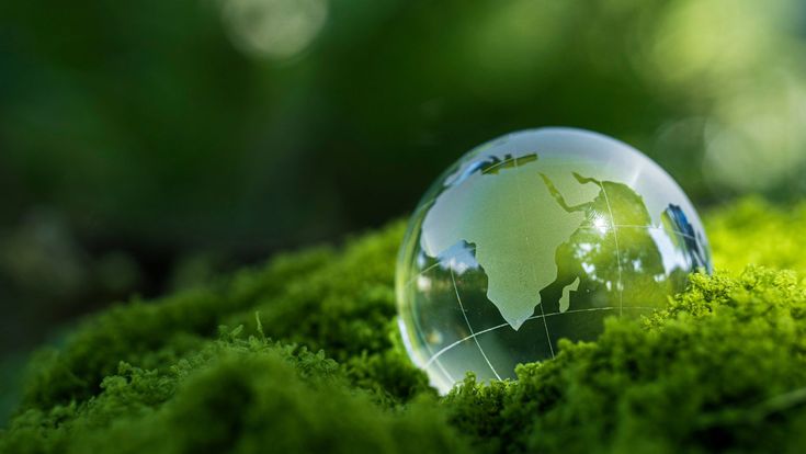 Glaskugel mit Weltkarte liegt auf grünem Moos – Sinnbild für Umweltschutz, Nachhaltigkeit und globale Verantwortung.