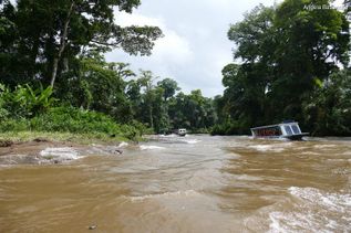 Costa Rica Boot fährt im braunen Fluss