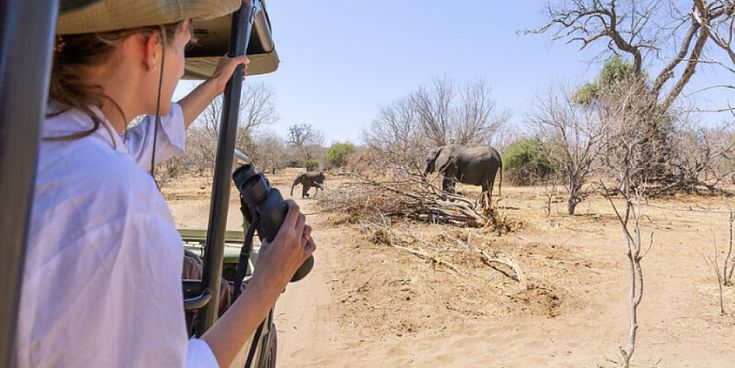 Reisende beobachtet Elefanten während einer Safari in Afrika – Symbol für nachhaltigen Tourismus und authentische Naturerlebnisse.