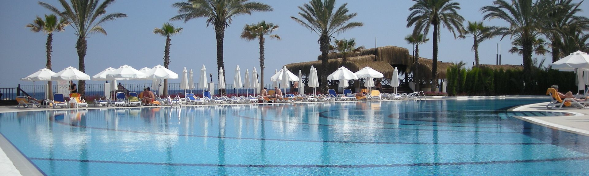 Palmen am Pool von Hotel