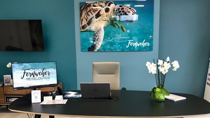Beratungsplatz in einem Reisebüro mit türkisfarbener Wand, Wandbild einer Meeresschildkröte und eleganter Einrichtung.