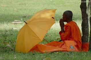 Rotes Gewand tragender Einheimischer mit Regenschirm sitzt auf Rasen in Sri Lanka