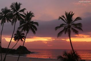 Sonnenuntergang in Sri Lanka