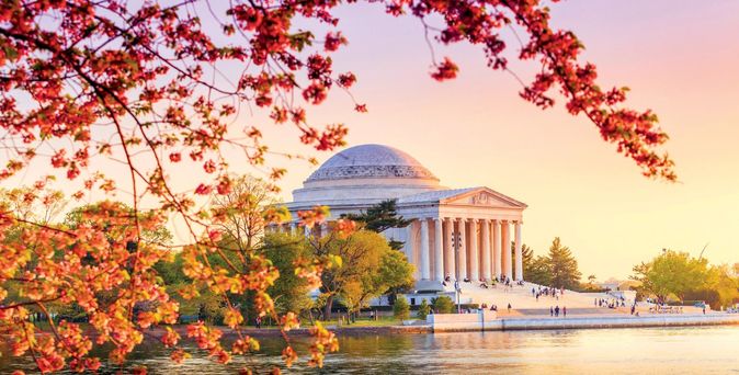 Blick auf das Jefferson Memorial in Washington, DC, im Vordergrund Kirschblüten