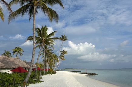 Weißer Sandstrand mit Palmen und Bungalows