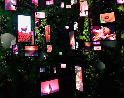 Biodiversity Lab Campus Germany