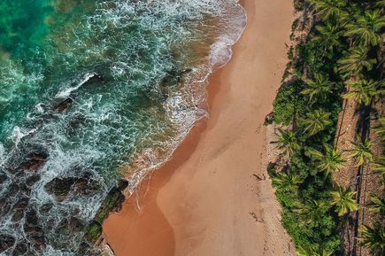 Palmen und Strand der Insel Sri Lanka (Indischer Ozean in Asien)