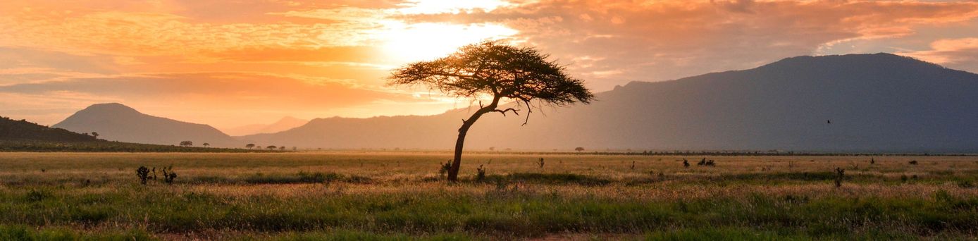 Nationalpark Tsavo East & West in Kenia