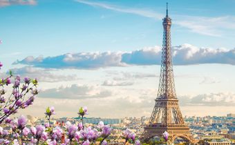 Eiffelturm in Paris mit blühenden Magnolien im Vordergrund und Blick über die Stadt bei klarem Himmel.