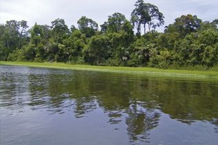 Fluss im Tortuguero Nationalpark auf Costa Rica
