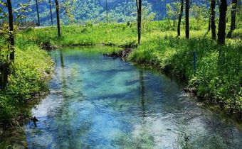 Parkhotel Du Sauvage