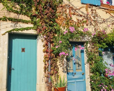 Kleines, mit Pflanzen bewachsenes Häuschen und türkisen Fensterläden