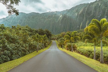 Grüne Landschaft und Straße auf Oahu Hawaii in USA
