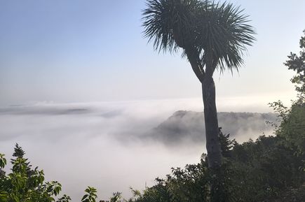 Ausblick über Wolken 