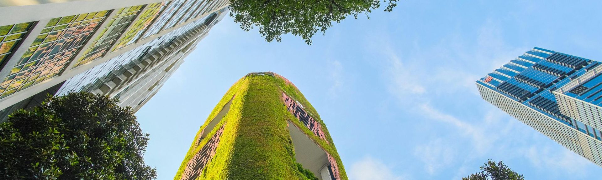 Blick nach oben auf moderne Hochhäuser mit begrünten Fassaden und Bäumen – Symbol für nachhaltige Architektur und umweltbewusstes Stadtleben.