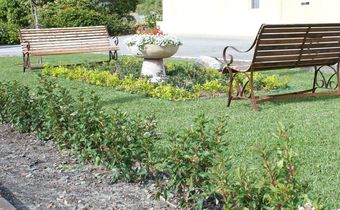 SureStay Hotel by Best Western The Clarence on Melville
