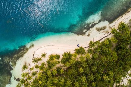Karibikstrand und Palmen von oben