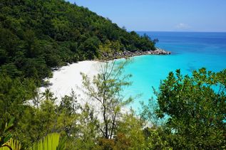 Strand der Seychellen Insel Praslin (Indischer Ozean in Afrika)