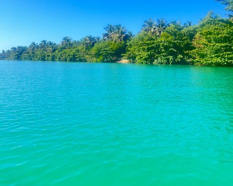 Türkises Wasser mit Blick auf ein dicht bewachsenes Ufer