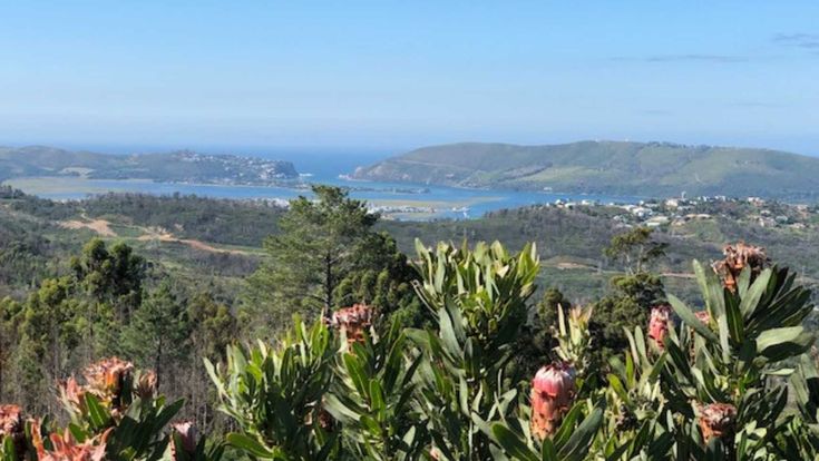 Blick auf Knysna-Südafrika