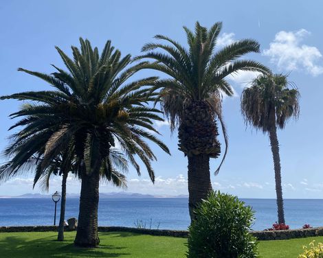 Strandpromenade mit Bäumen und Palmen