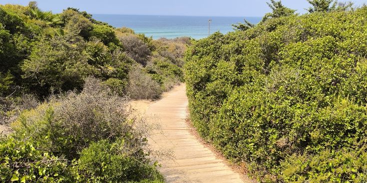Steg zum Strand