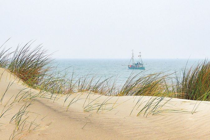 Dünen und Strand der Nordsee Insel Spiekeroog, ostfriesische Inseln im niedersächsischen Wattenmeer