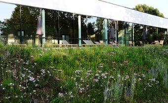 Marienkron Retreat & Health Resort