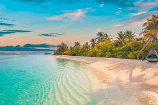 Karibischer Sandstrand mit Palmen und einem Flechtkorb zum entspannen an einer Palme (Sonnenuntergang)