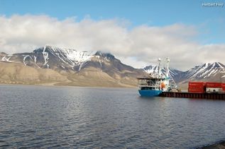 Meer, Schiff und schneebedeckte Berge auf Nordland Kreuzfahrt mit AIDAluna