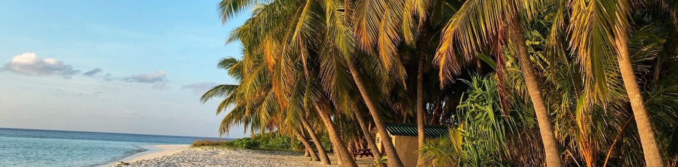 Strand einer Malediven Insel (Indischer Ozean in Asien)