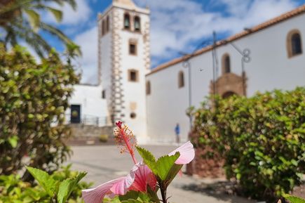 Kleiner Turm mit Pflanzen