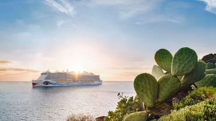 AIDA Kreuzfahrtschiff vor einer felsigen Küste mit Kakteen und üppiger Vegetation bei Sonnenuntergang auf dem Meer.