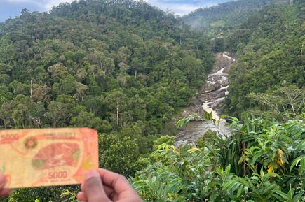 Die Hälfte eines Geldscheins im Vordergrund seines aufgedruckten Motivs