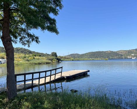 Kleiner See mit Holzsteg und grün bewachsenem Ufer